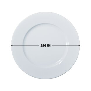 256 mm